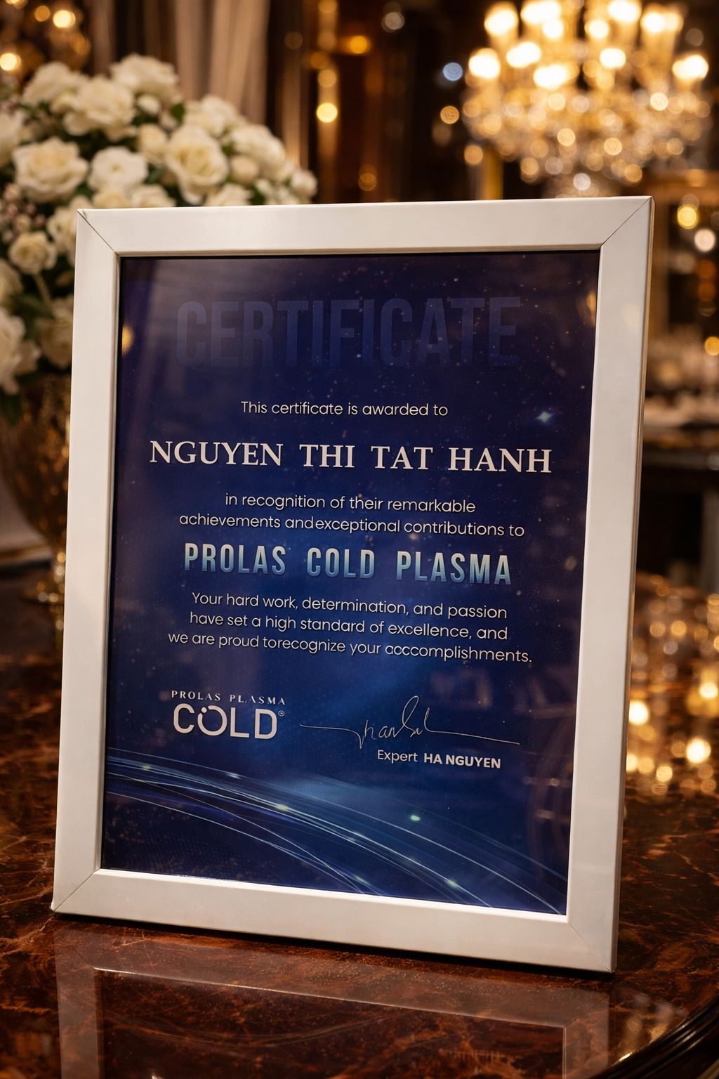 Professional Certificate 1